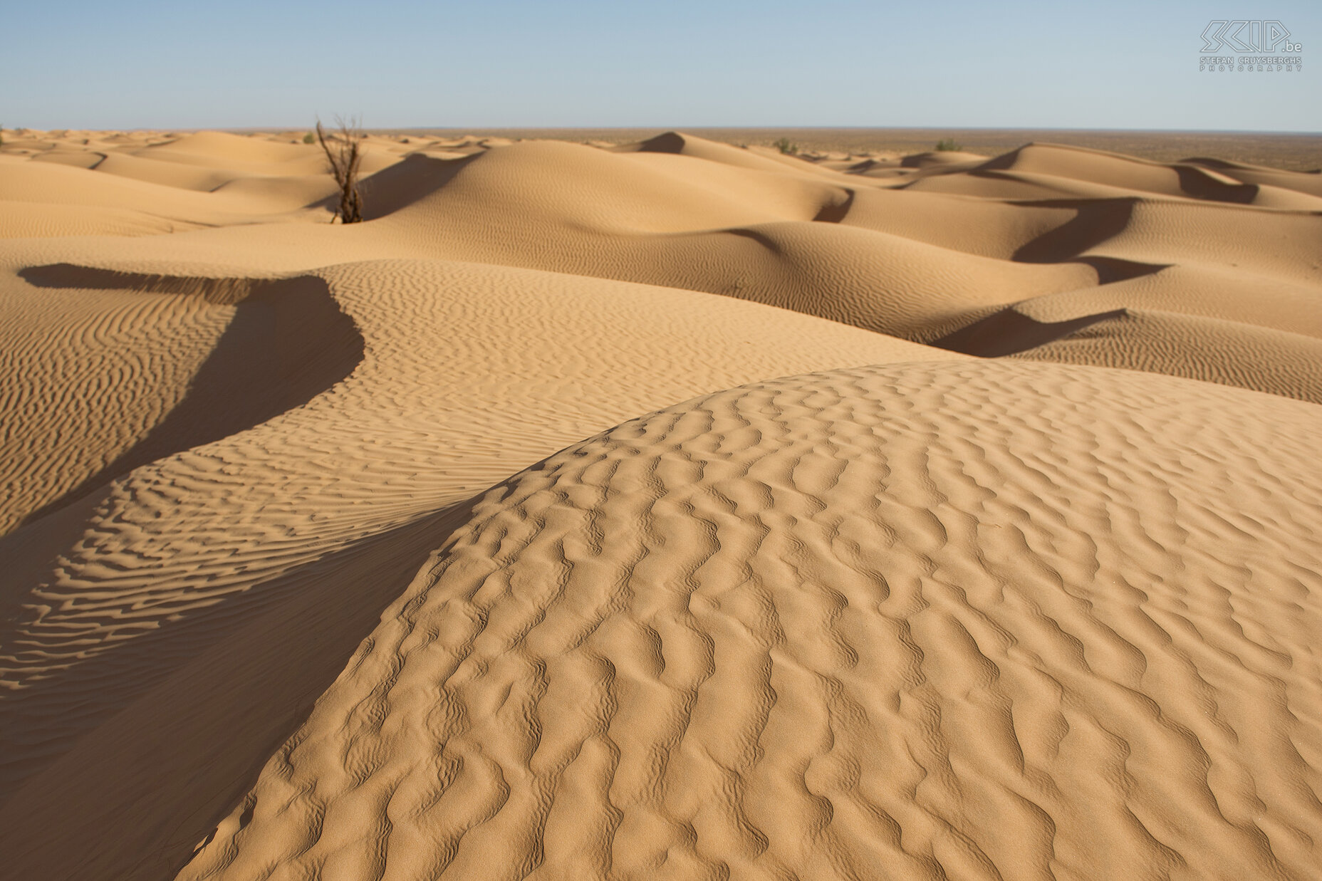 Sanddunes  Stefan Cruysberghs